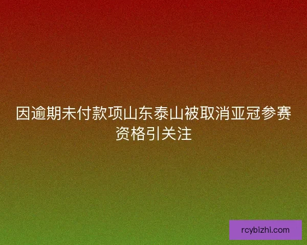 因逾期未付款项山东泰山被取消亚冠参赛资格引关注
